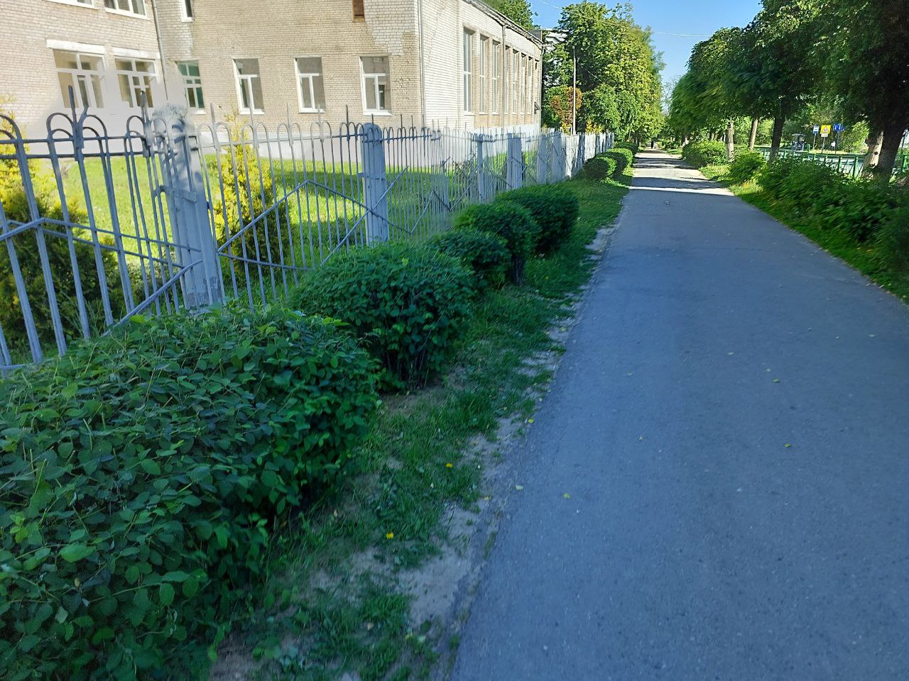 photo 5314317749108995059 y