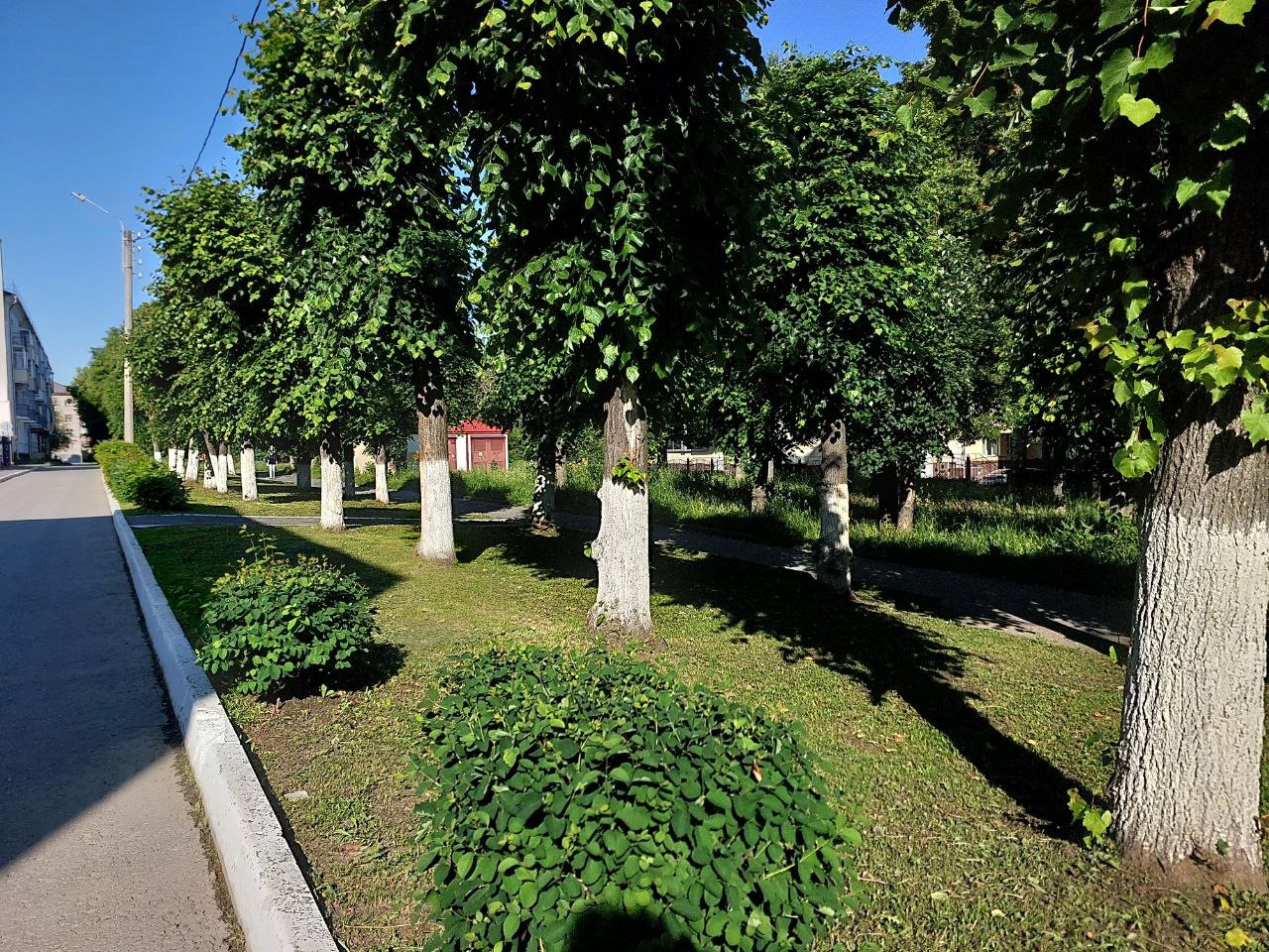 IMG 20250605 085205 973