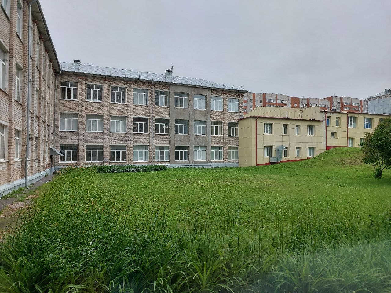 IMG 20250619 155118 949