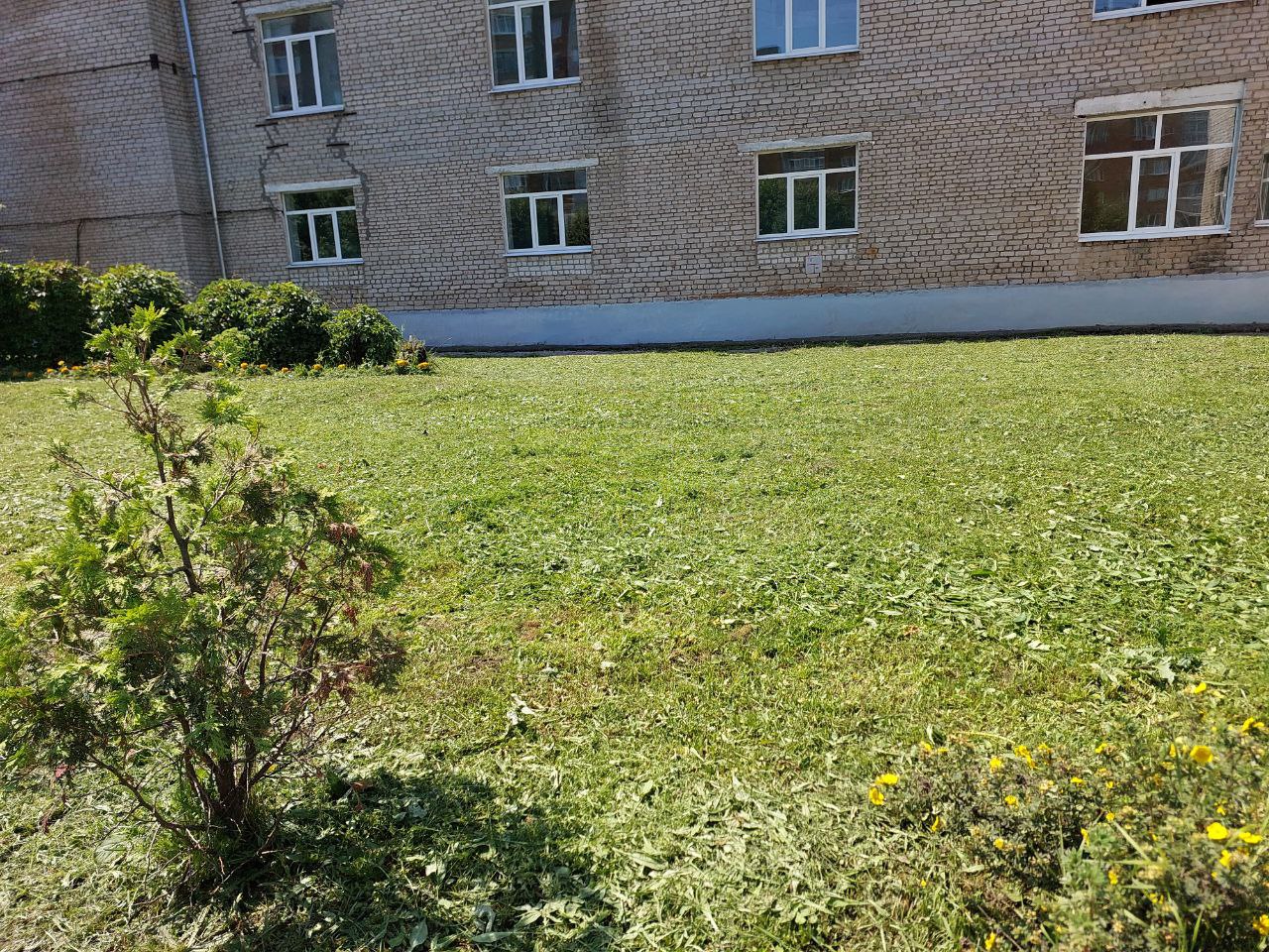 IMG 20250716 074928 991