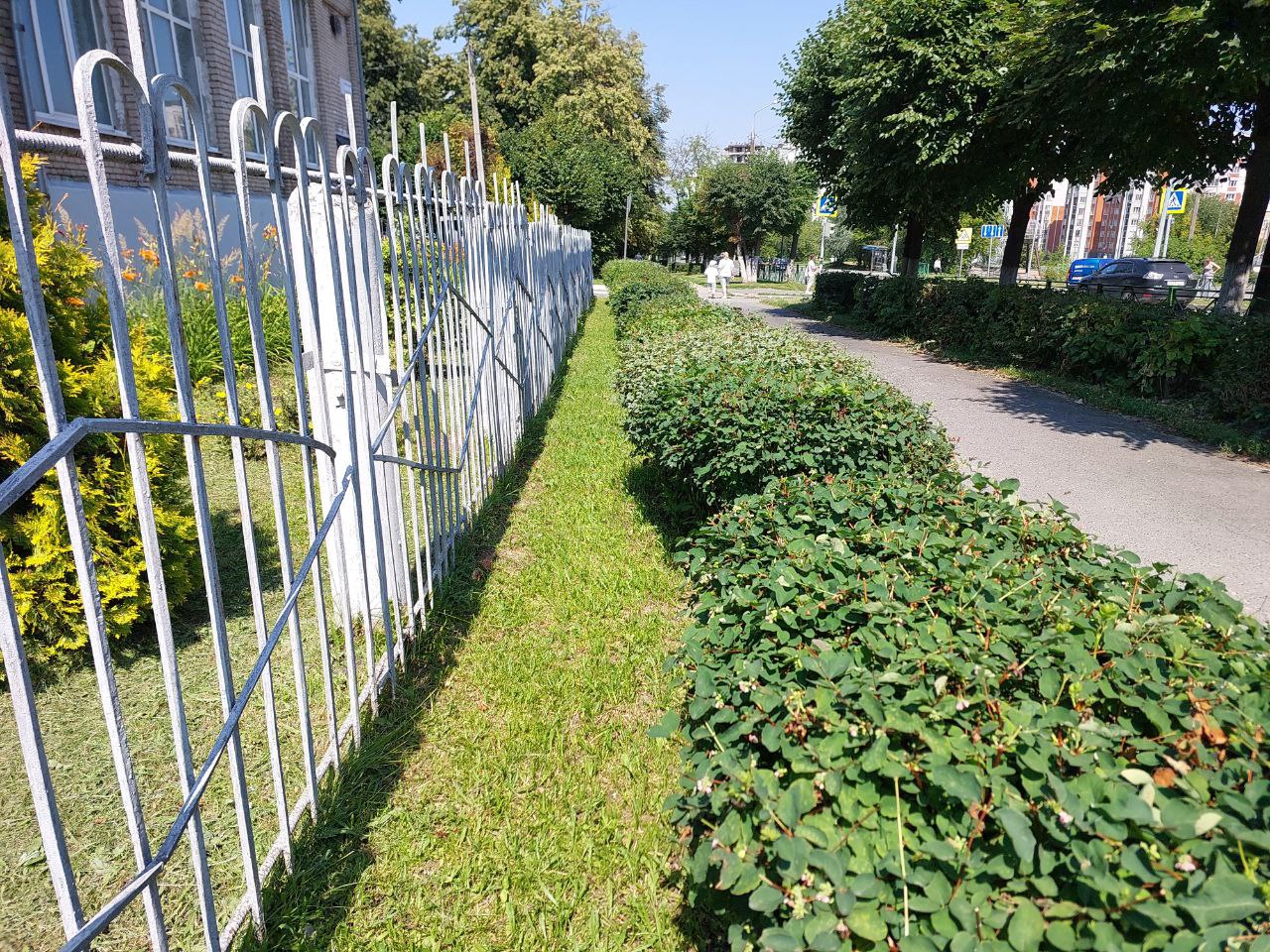 IMG 20250716 074929 051