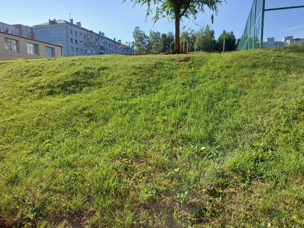 IMG 20250722 165243 980