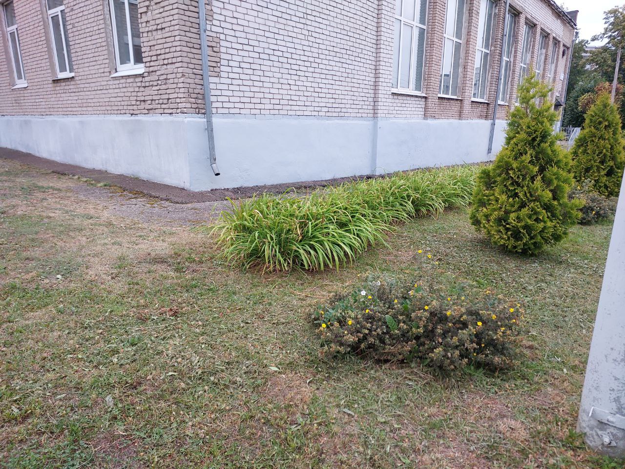 IMG 20250806 091700 759