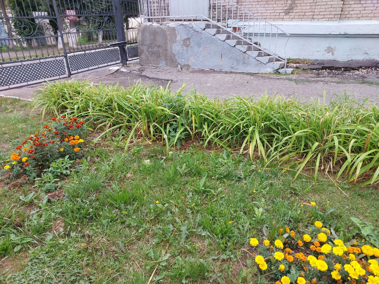 IMG 20250815 095509 175