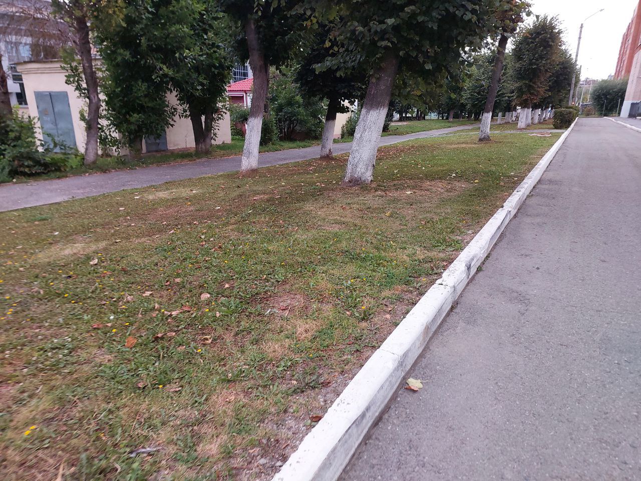 IMG 20250815 095509 851