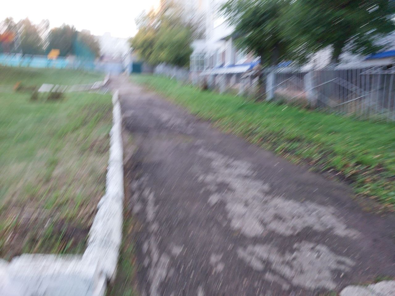 photo 5393373141952235794 y