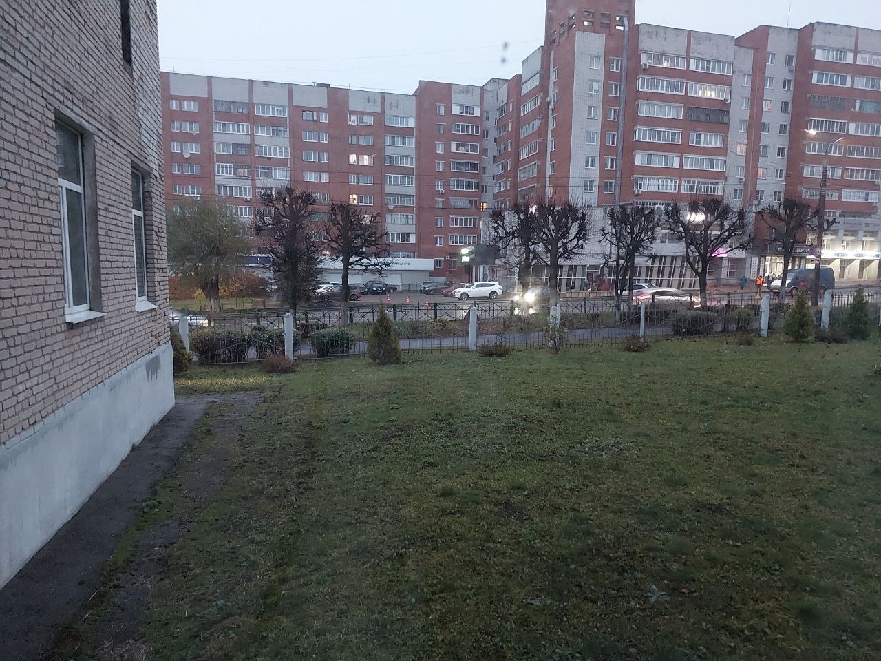 photo 5188642595096625253 y