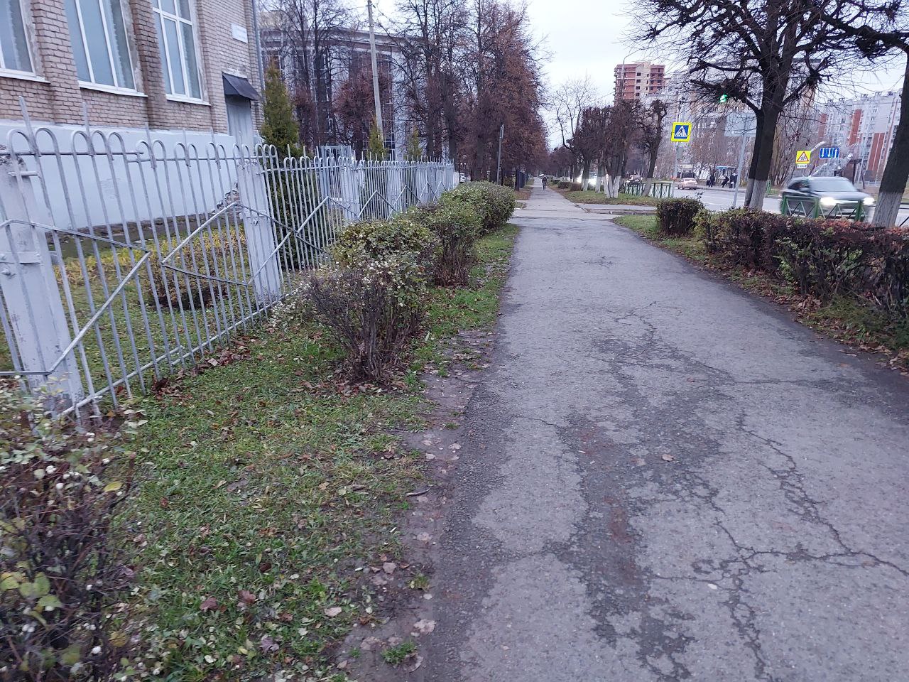 photo 5215253293343378485 y