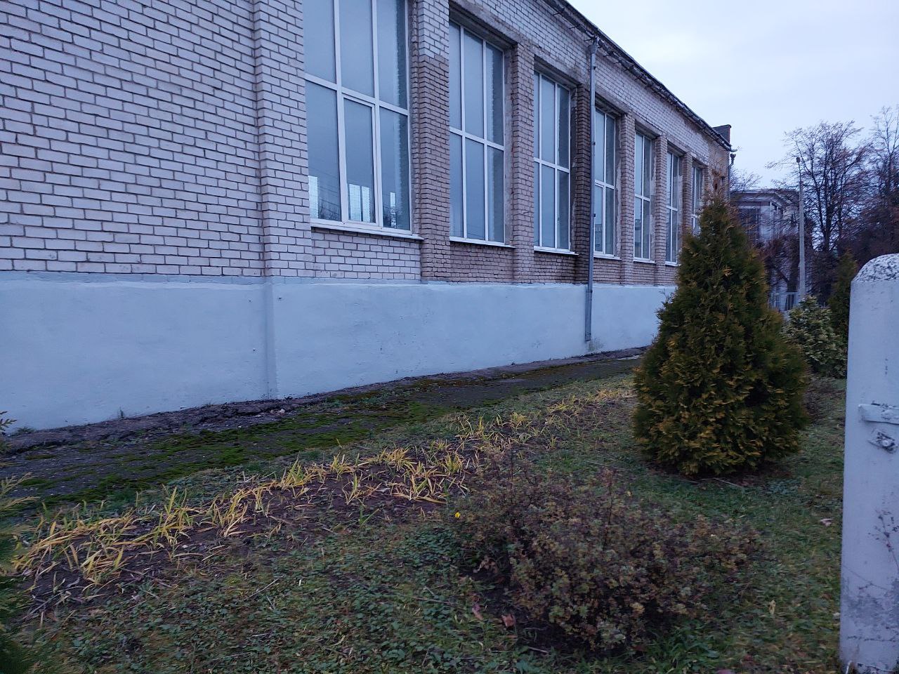 photo 5215253293343378486 y