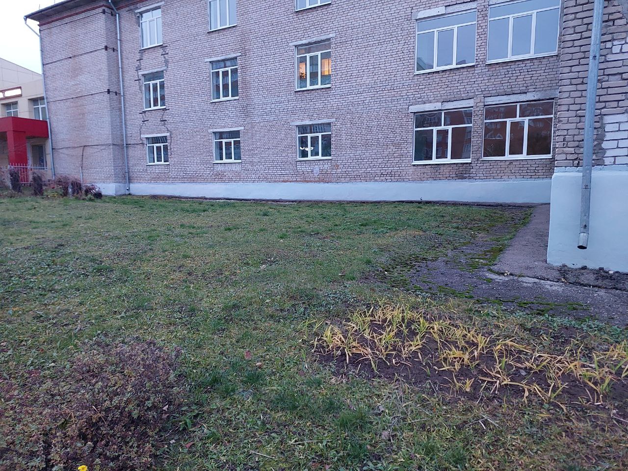 photo 5215253293343378487 y