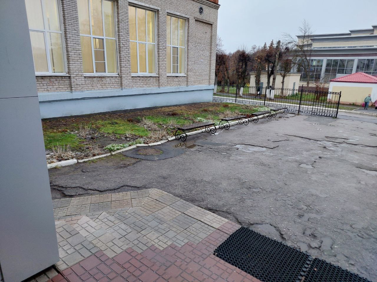 photo 5231290946039778158 y