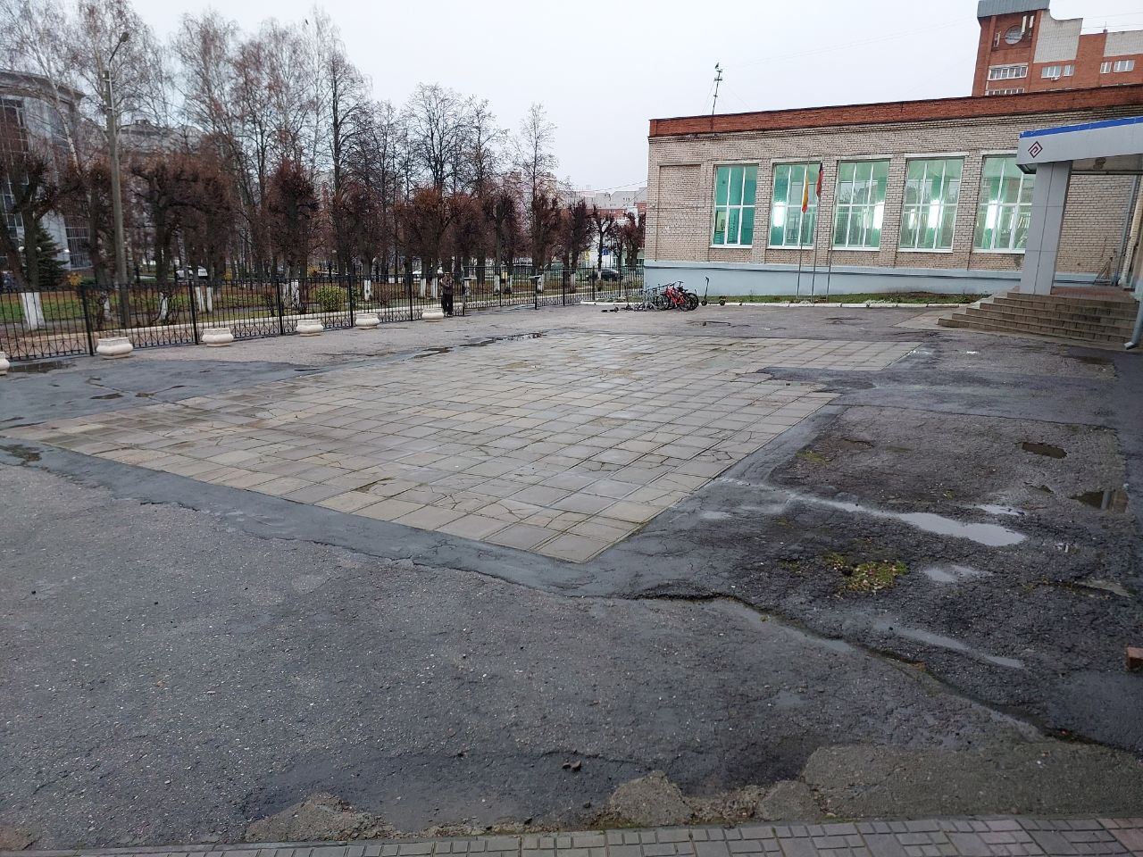 photo 5231290946039778159 y