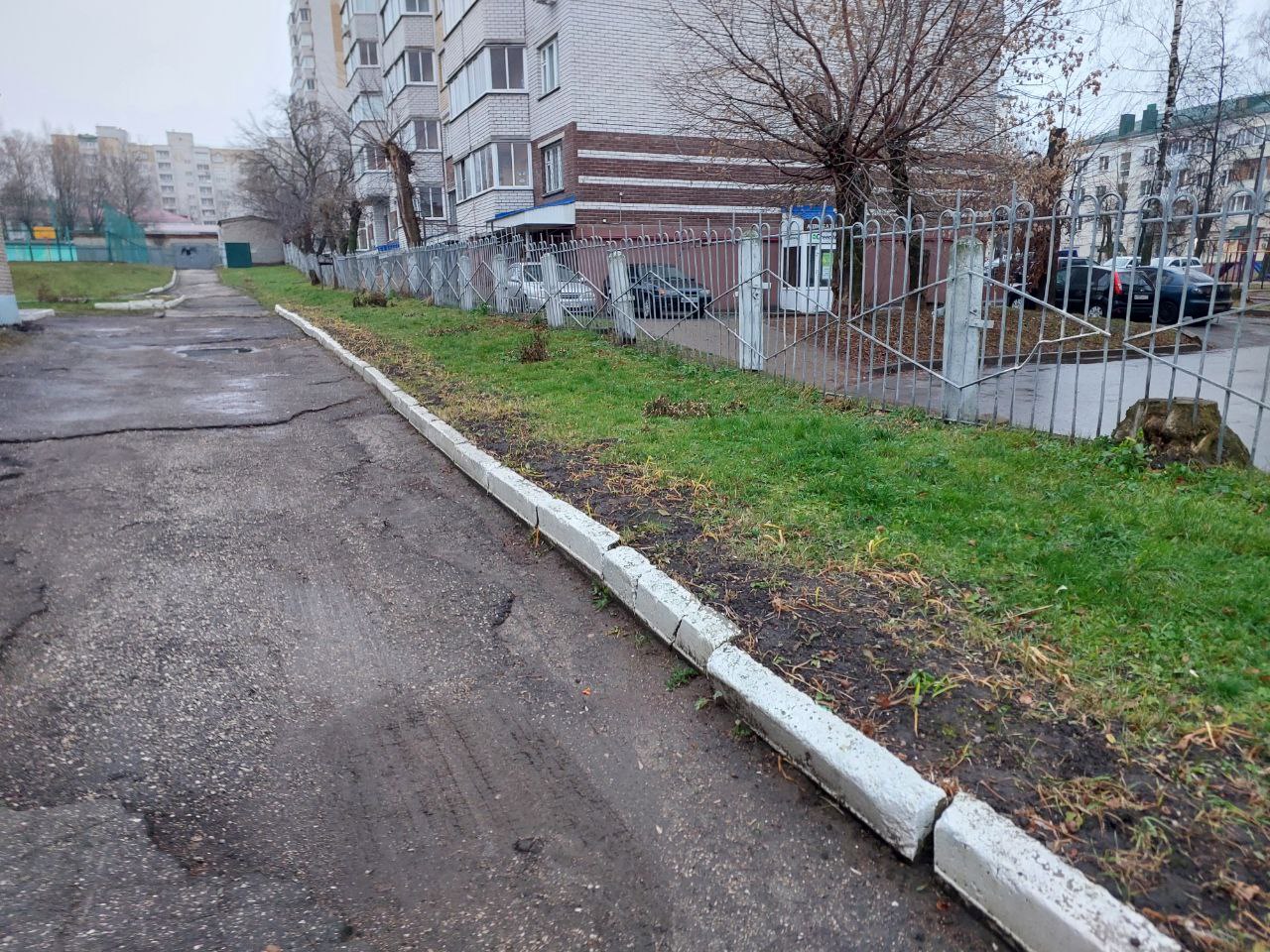 IMG 20251118 170256 012