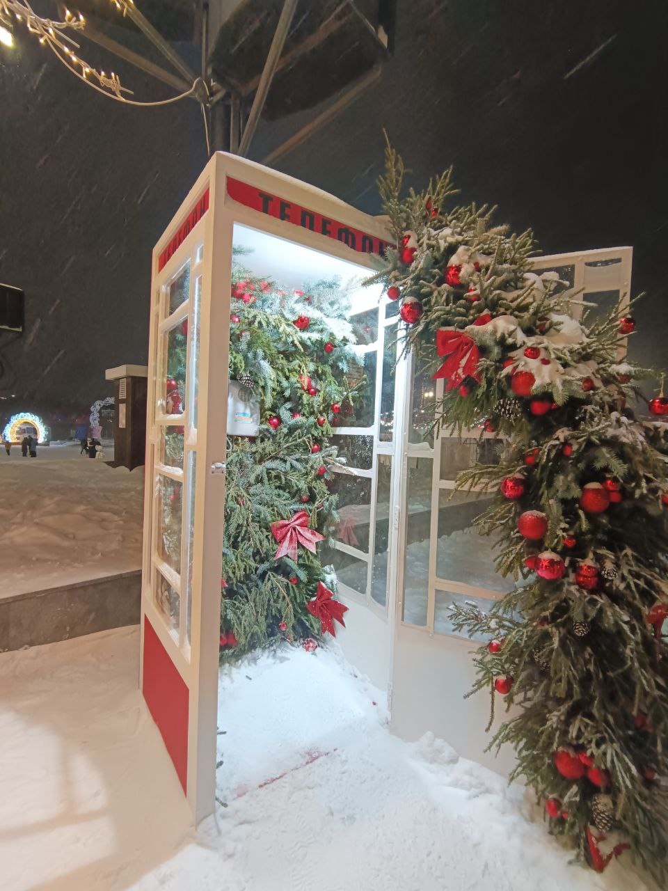 photo 5393261528640852297 y