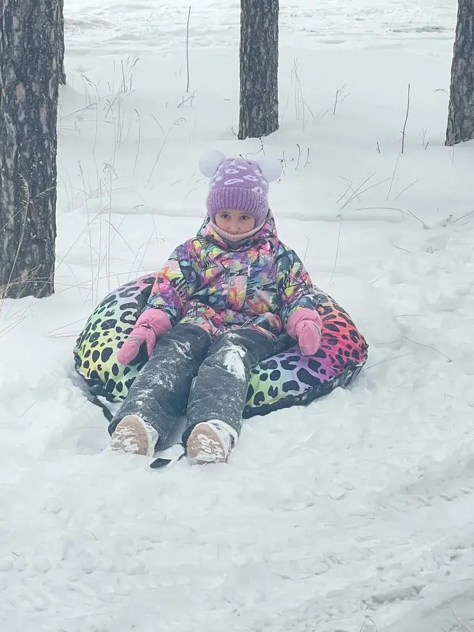 photo 5399863619224276082 y