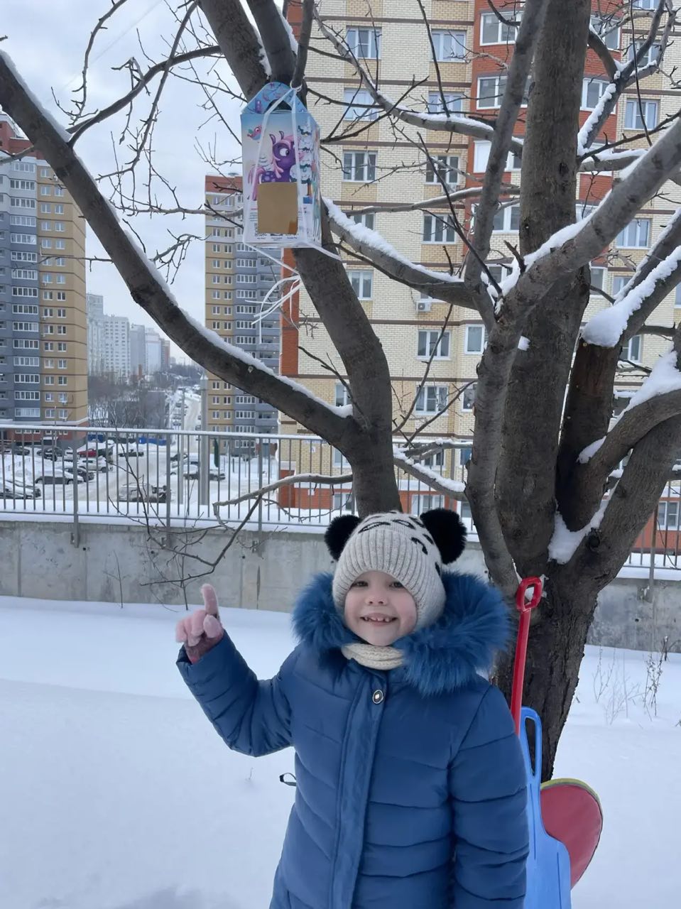 photo 5399863619224276094 y