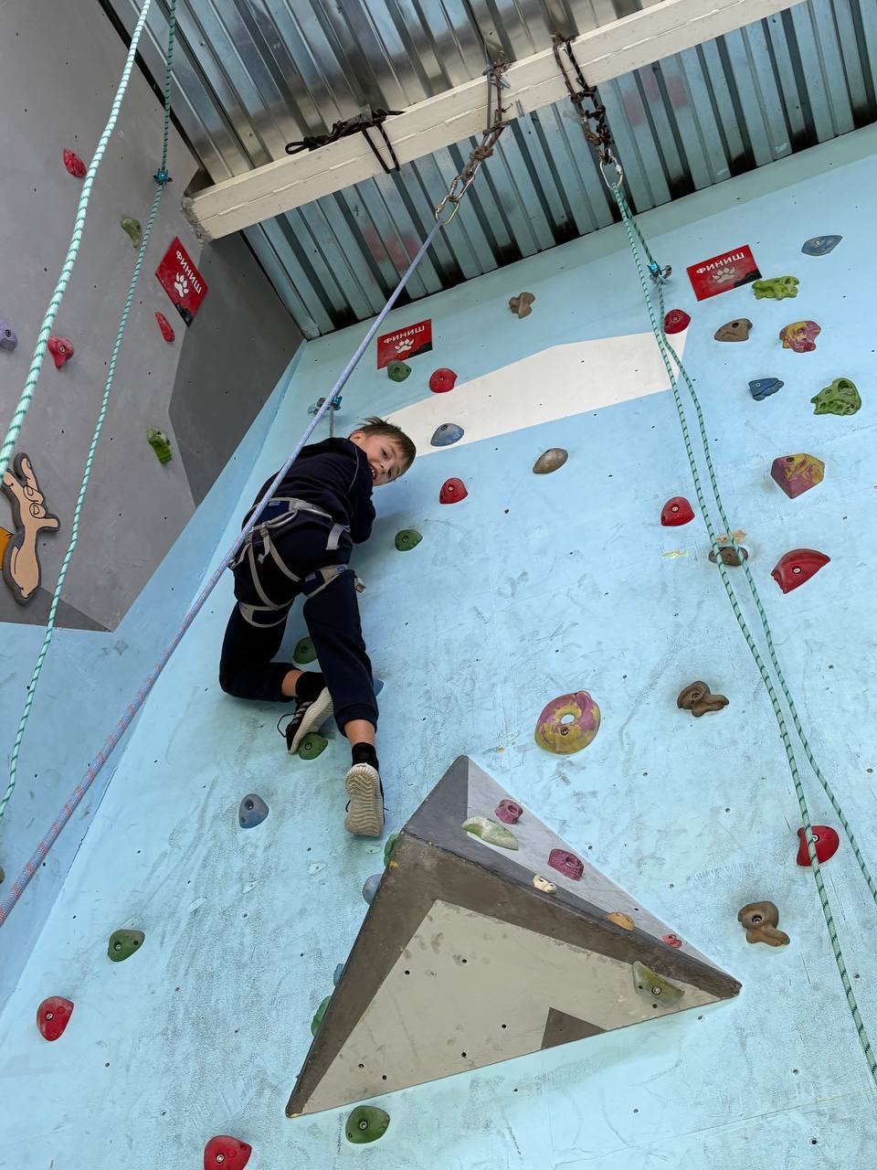 photo 5400165387921460263 y