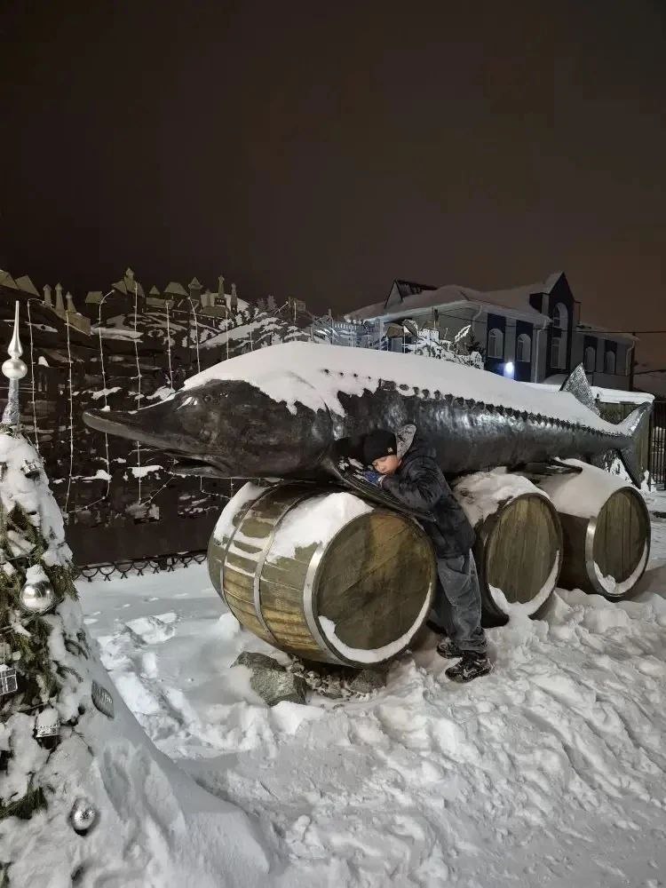 photo 5411386320694742174 y