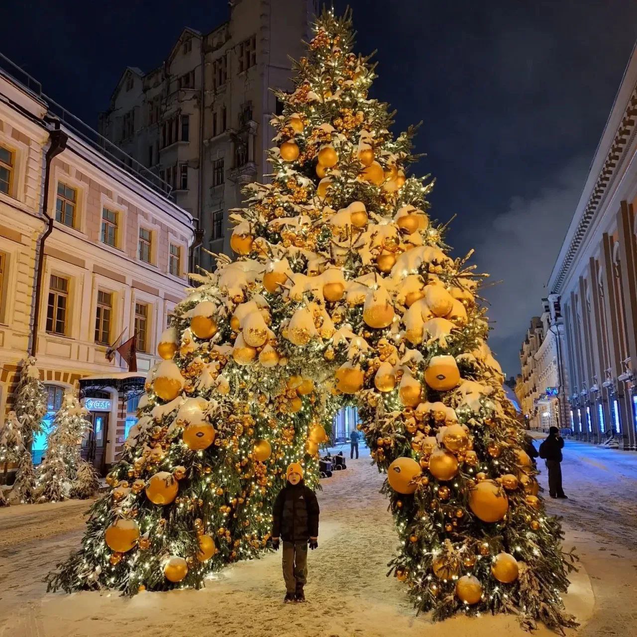 photo 5413638120508429040 y