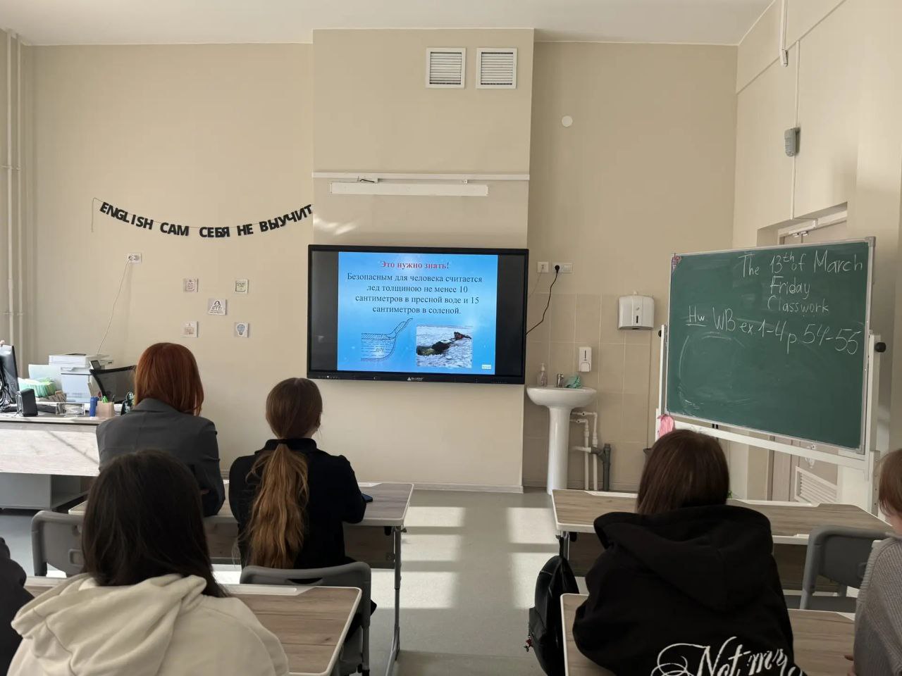 photo 5305698514253846003 y