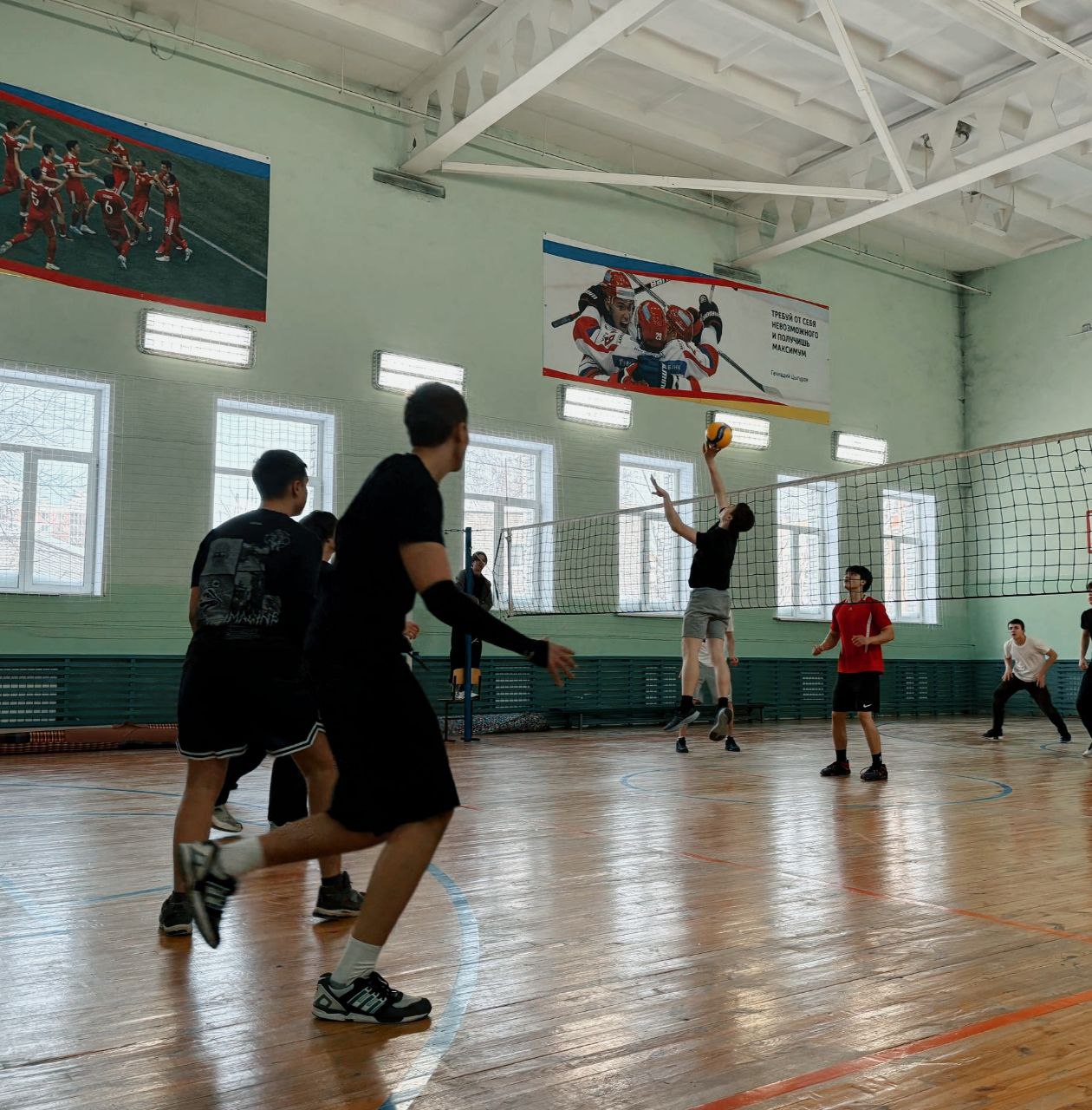 photo 5213037721578836429 y