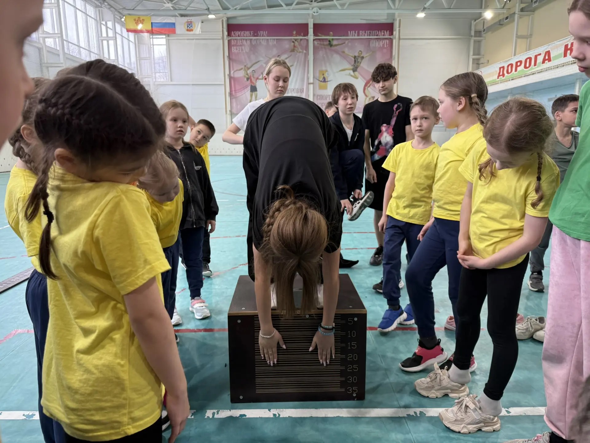 dc496dd9 e0a2 4c7a 8505 199cc2310473