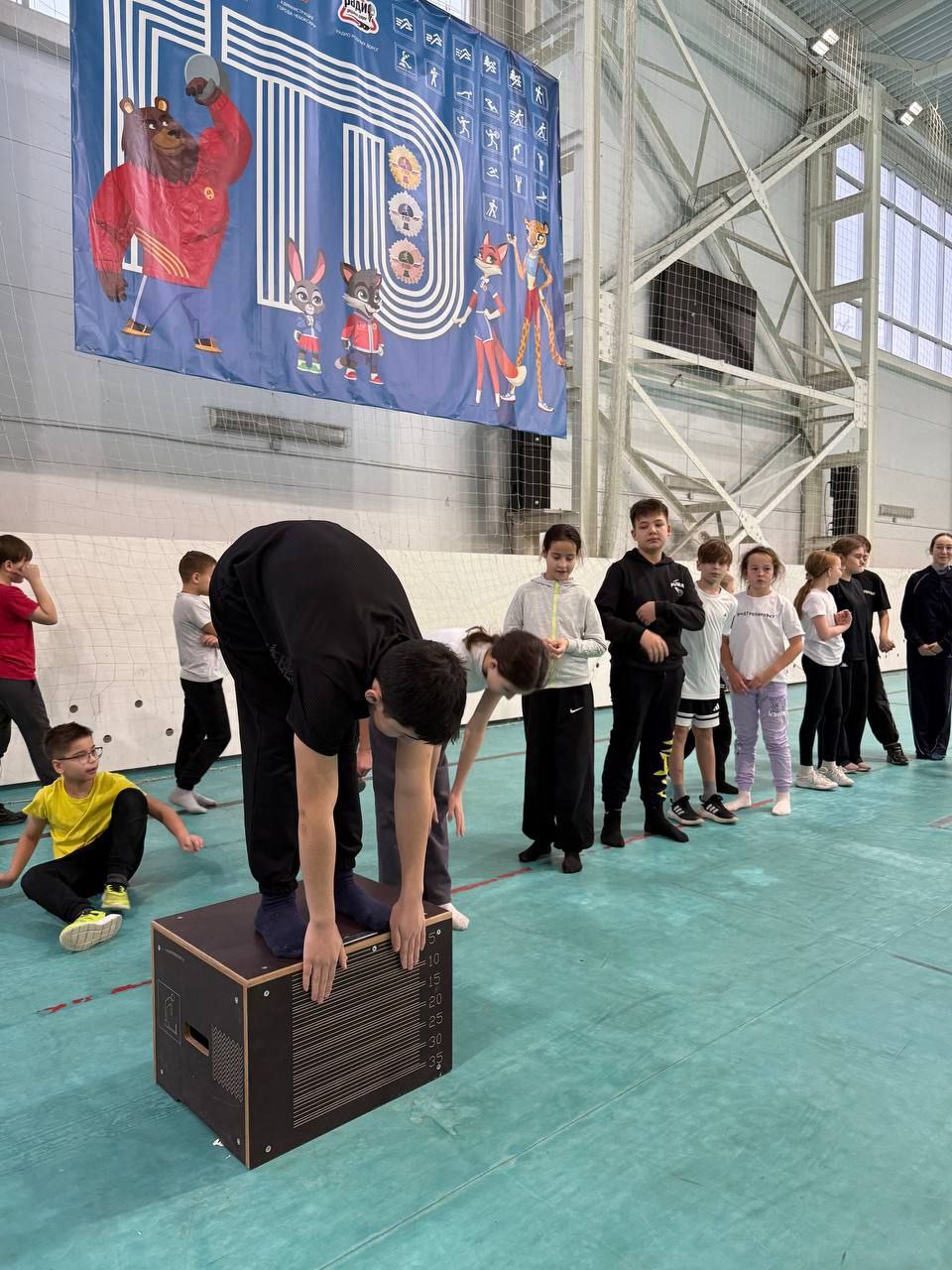 photo 5296254203292488021 y