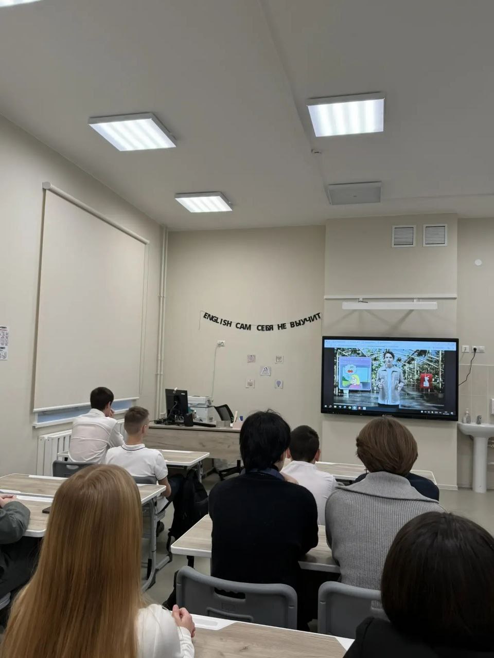 photo 5229103308742528981 y