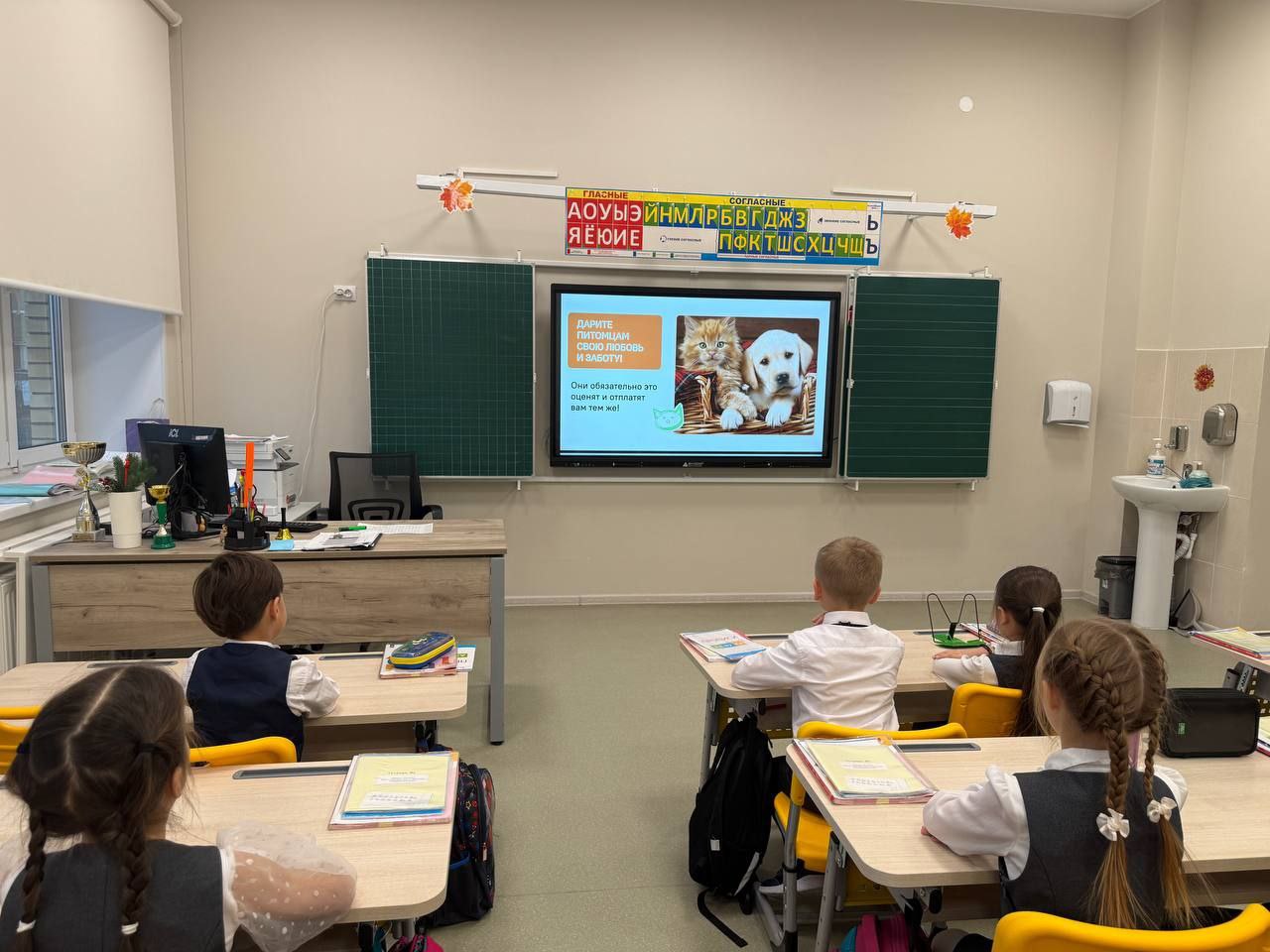 photo 5292029961222950246 y