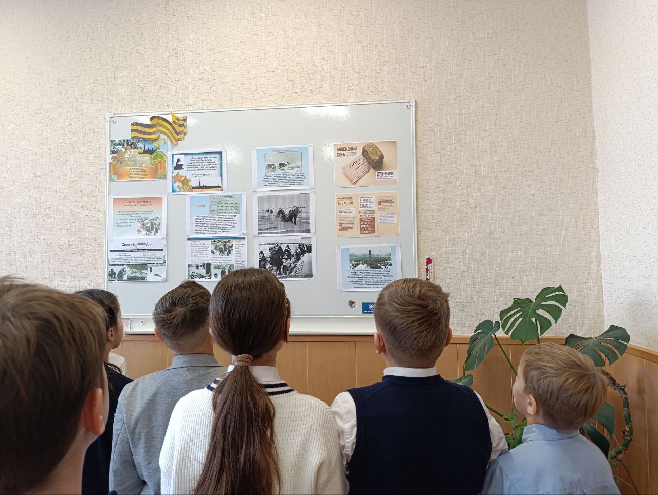 photo 5445298188463051206 y